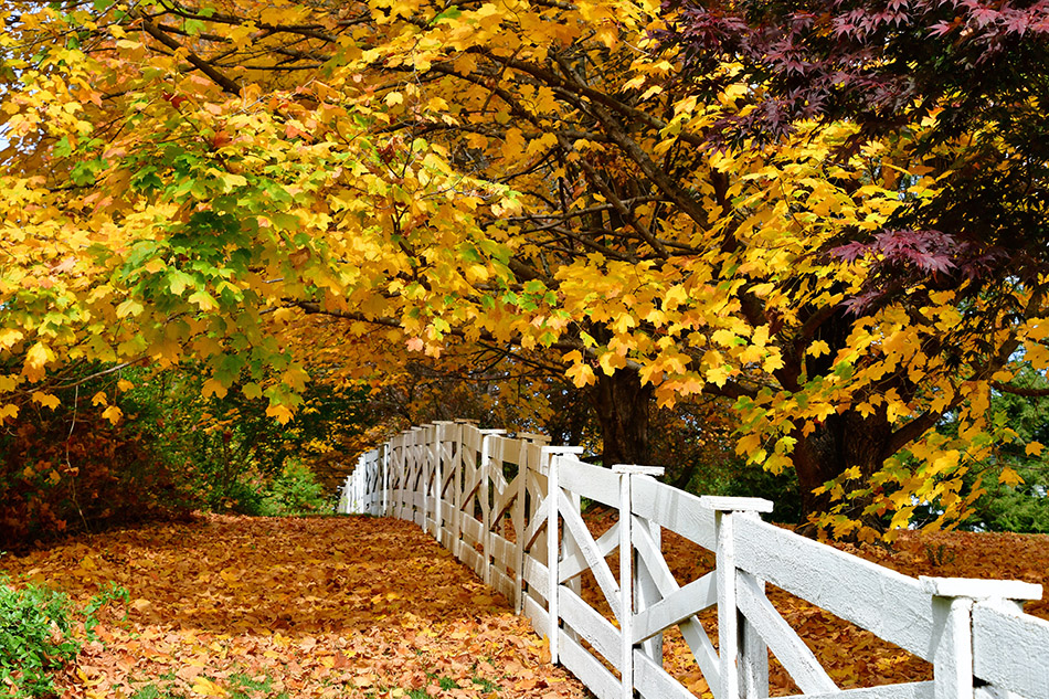 Hopping Off The Fence: Why Listing Your Home This Fall Is A Win!