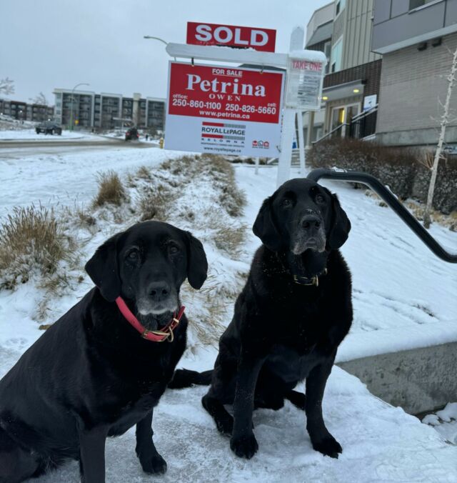 Happy Wednesday from Keiki & Khaos! They are delivering a SOLD sign at Academy Way this morning!

#sold #ubco #ylw